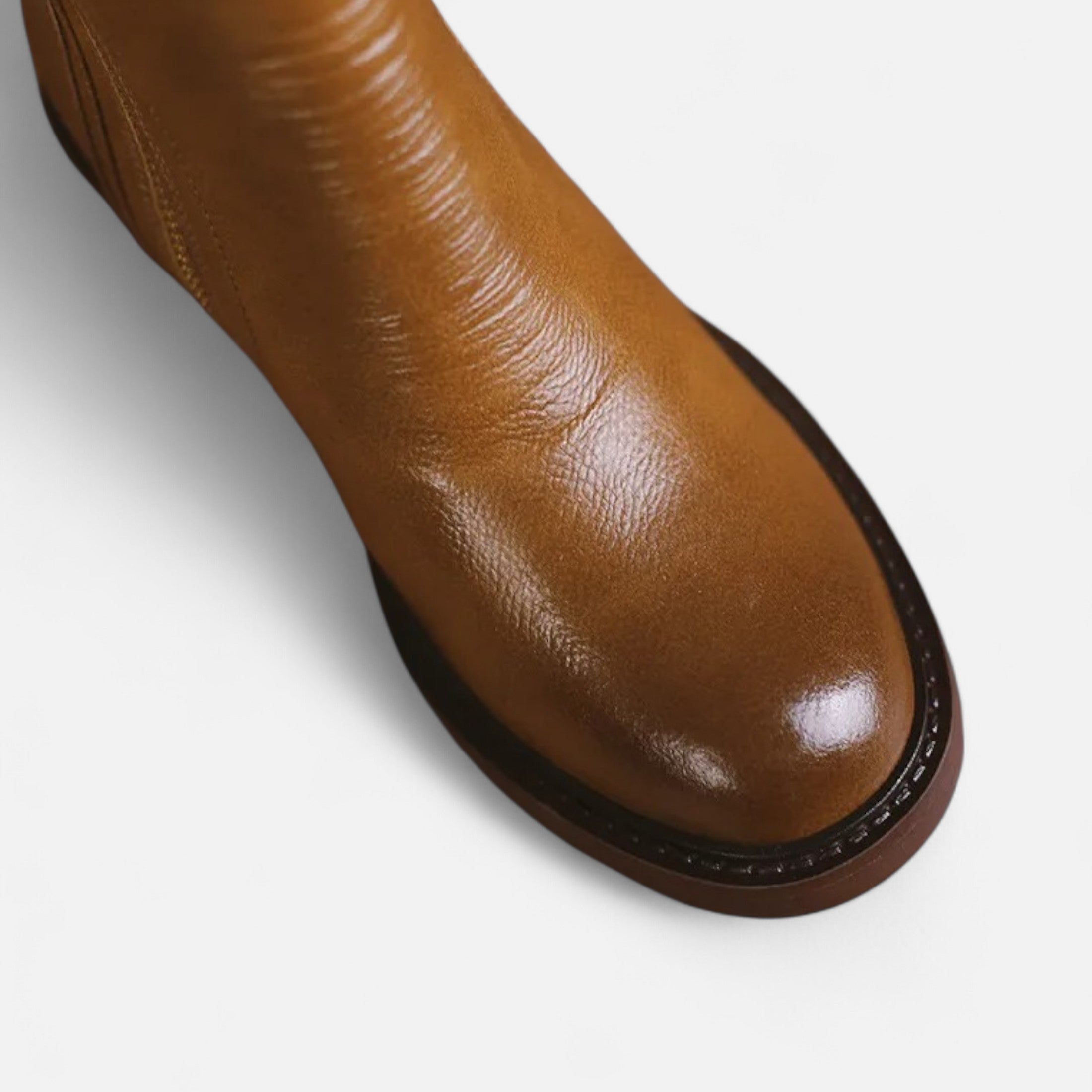 Eliaro Moda | Botines Mujer Invierno Cierre Cremallera